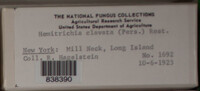 Image Associated With the Occurence